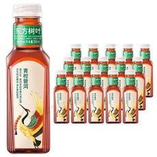 농부산천 동방수예 청귤 보이차 1박스 (500ml*15개), 15개입, 500ml