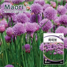 허브씨앗 모음 씨앗 종자 다년생 차이브 허브꽃 대성식물, 23. 라벤다 100립, 1개