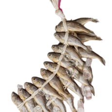 [산지직송] 영광 법성포 가정용 참조기 굴비 장줄 20미, 1개, 영광 굴비 장줄 20미 - 1.2kg