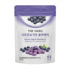 더하루 사르르요거트 블루베리 동결건조 과일요거트칩 저칼로리 다이어트 상온 간식 요거트스낵, 4개, 16g