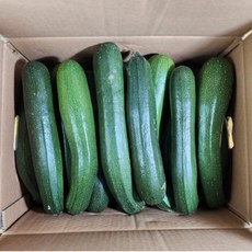 국내산 쥬키니호박 못난이 쥬키니 1kg 2kg 3kg 5kg 10kg 내외, 1개, 쥬키니 못난이 5kg