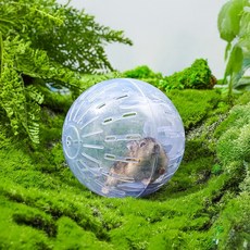 쾅쾅상사 햄스터운동볼 햄스터쳇바퀴