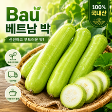 국내재배 베트남박 trai bau 신선야채 베트남요리용, 1박스, 500g