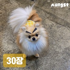 멍스트 펫페이스 강아지 고양이 화난눈썹 스티커, 검정, 30개