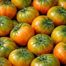 [한정특가] 고당도 대저 짭짤이 토마토, 1박스, 2.5kg (S-2S)