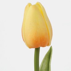 다온 튤립 조화 조화식물