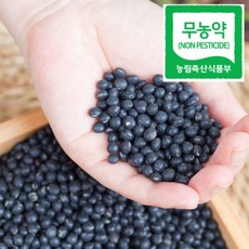 국산 쥐눈이콩 무농약 약콩 서목태 친환경, 쥐눈이콩(무농약) 500g, 1개