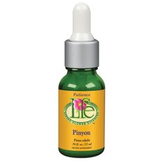 活花精華小齒輪, 1個, 15毫升