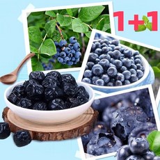 1+1 특급 무설탕 블루베리 건조과일 오성 블루베리건조과일 블루베리 하루건강견과, 2개, 100g