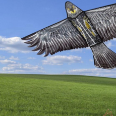 독특한연 대형 독수리연 전통 연날리기 세트, 본상품