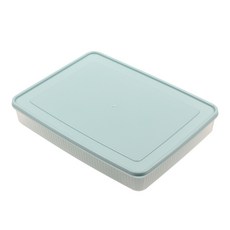 DFMEI 冰箱雞蛋收納盒廚房冰箱家用保鮮收納盒子餃子盒塑料雞蛋盒餛飩盒, 1個, 藍色