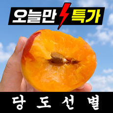 [24시간초특가] 딱100박스만 고당도 노지 살구, 1박스, 1kg