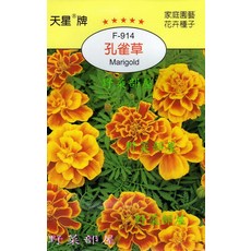 【野菜部屋】孔雀草Marigold 種子 穗耕種苗 天星牌 F-914, 1包