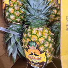 돌 스위티오 파인애플 6수, 1세트, 8kg