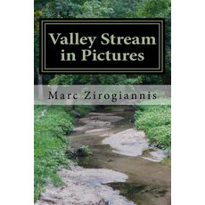 (영문도서) Valley Stream in Pictures: Summer Edition Paperback, Createspace Independent Pub..., English, 9781725543386