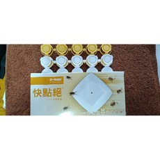 德國巴斯夫 快點絕蟑螂藥10g 強效滅蟑凝膠 附贈餌劑盒, 1個, 快點絕蟑螂藥10g*1(送20藥盒), 10ml