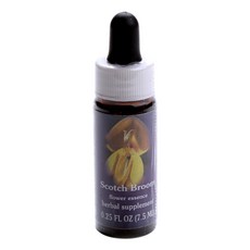Flower Essence Services 金雀花滴劑, 7.5ml, 1瓶