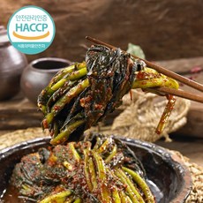 [재주문1위]HACCP인증 국내산 명품 여수 돌산 갓김치, 1개, 1kg