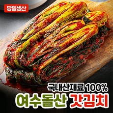 국내산 여수 돌산 갓김치, 1개, 1kg