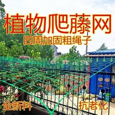 無品牌 爬藤網 植物支架 陽臺種植 加厚耐用 2米x5米, 1個, 加粗繩子 長度包邊20釐米網格,爬藤網 1.5米寬8米長