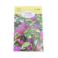 天星牌千日紅種子，易於種植，花色鮮豔，花期長，適合花壇、盆栽, 1個