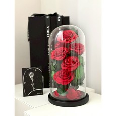 小王子永生花鐘罩系列-六朵紅玫瑰，精緻鐘罩保護，紅色玫瑰花語，浪漫居家裝飾, 六朵紅玫瑰, 紅色