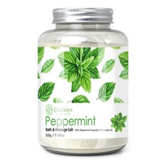 올레비엔 페퍼민트 바스 앤 마사지솔트, 500g, 1개