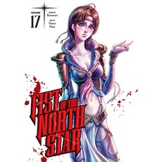 (英文圖書)Fist of the North Star Vol. 17 精裝版, Viz Media, 英文