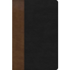 (영문도서) KJV Personal Size Giant Print Bible Black/Brown Leathertouch Indexed Imitation Leather, Holman Bibles, English, 9781430094777