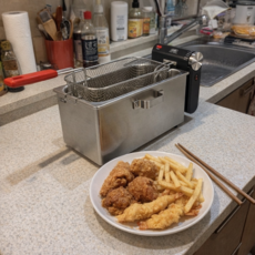 델키 프리미엄 전기 튀김기, 1개바스켓제공/DKR 113-BK