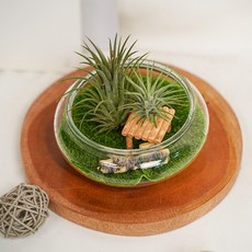 갑조네 원형 유리 수반 유리병 화병 테라리움 어항