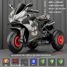 웰라운디드 삼륜스쿠터 삼륜전기스쿠터, 전기 구동, 1개, 그레이 리모컨 공기압 바퀴