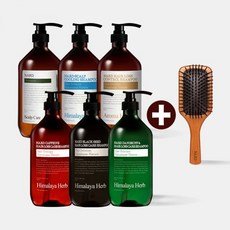 나드 두피 샴푸 1L 2개 패들브러쉬 외 기능성 헤어라인, 나드 블랙시드 탈모 샴푸 1L 2개, 나드 패들 브러쉬 M