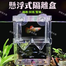 帥哥水族【懸浮式隔離盒】雙層產卵盒 繁殖盒 孔雀魚 紅球 茶壺 小型魚 繁殖 孵化盒 隔離 孵化, 1個