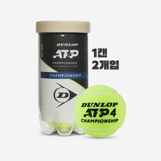 던롭 ATP 챔피언쉽 테니스공 테니스볼 시합구 1캔 2개입