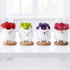 스칸디아모스 엔젤받침 천연이끼 인테리어소품, 씨클라멘+퍼플+스프링그린+레드, 1세트