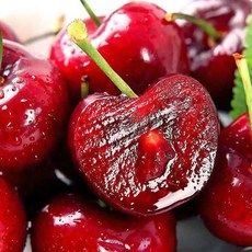 프리미엄 초꿀brix 달콤폭발 천상의맛 체리, 1박스, 500g 9.5row(대)