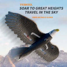 RC 비행기 윙스팬 독수리 EPP 폼 항공기 글라이더 리모컨 남아용 장난감 2.4G 420mm, 01 1 Battery