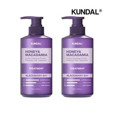 단백질 트리트먼트 블랙베리베이 500ml x2개