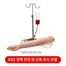 주시 실습 모형 팔뚝 피부 채혈 연습 정맥주사 간호사, 1개, KS3