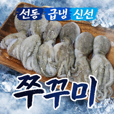 선동 급속냉동 쭈꾸미, 1개, 급냉 쭈꾸미 2kg (15-30미 암수랜덤)
