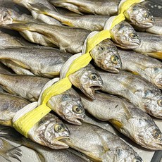 돌쇠네 전통 방식으로 말린 영광 가정용 참조기 굴비, 20마리 (1.0kg)+선물용가방