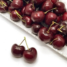 프리미엄 생 체리, 1박스, 1kg