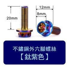 車牌螺絲墊片組 (鈦紫色) 含安裝工具 – 適用汽車機車 M6規格 車牌框裝飾配件, 1個, 鈦紫色