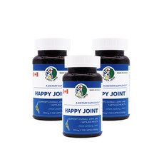 해피조인트 MSM 550mg 함유 상어 연골 글루코사민 캐나다 식약처기능성인정, 3개, 120회분