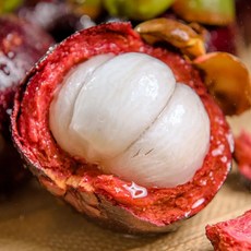 [재구매1위] 고당도 태국직송 생 망고스틴, 1박스, 500g