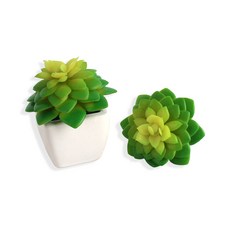 꽃조화 큰연꽃, 1개