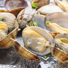 경남 통영 왕바지락 2kg, 1개, 왕바지락2kg