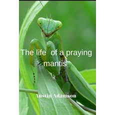 (영문도서) Тhe life of a praying mantis Paperback, Independently Published, English, 9798386291907