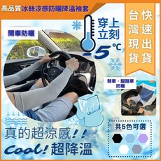大力專業五金 涼感袖套 排汗冰絲袖套 運動袖套 戶外防曬透氣, 淺紫色, 1個